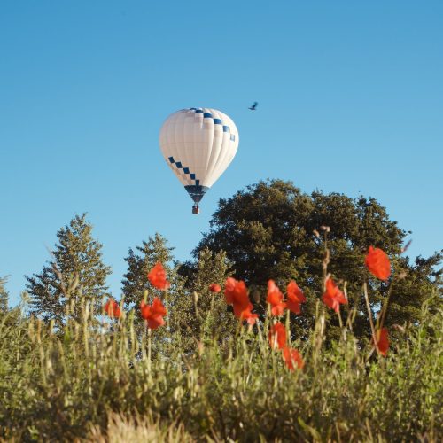 cheque-cadeau-pearl-balloon